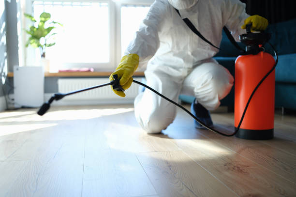 Reliable Odor Removal contractor in Anderson, SC by Trauma Clean Pros